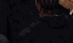 pp电子APP-别生气了哈登...他竟然笑着跟登哥求和